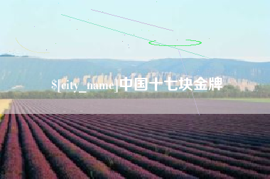 龙口中国十七块金牌