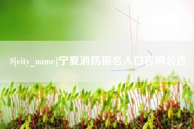 龙口宁夏消防报名入口官网公告