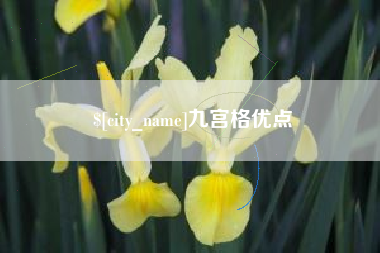 龙口九宫格优点