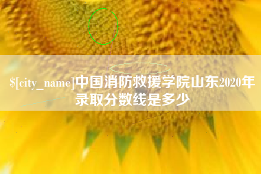 龙口中国消防救援学院山东2020年录取分数线是多少