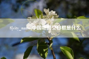 龙口中国地图空白框是什么