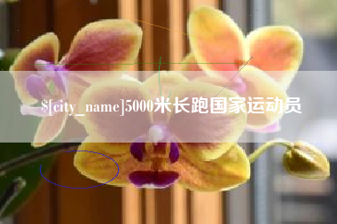 龙口5000米长跑国家运动员