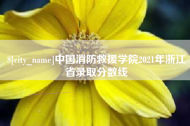龙口中国消防救援学院2021年浙江省录取分数线