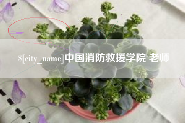 龙口中国消防救援学院 老师