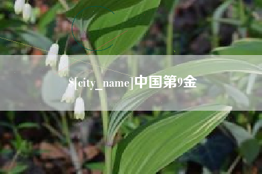 龙口中国第9金