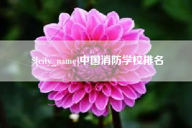 龙口中国消防学校排名