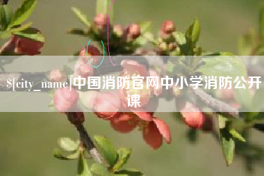 龙口中国消防官网中小学消防公开课