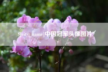 龙口中国冠军头像图片