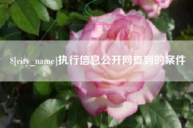 龙口执行信息公开网查到的案件
