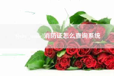 龙口消防证怎么查询系统