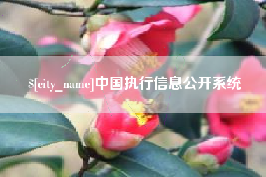 龙口中国执行信息公开系统