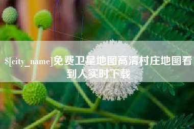 龙口免费卫星地图高清村庄地图看到人实时下载