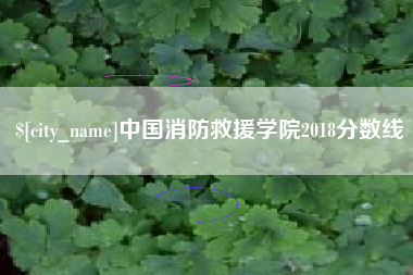龙口中国消防救援学院2018分数线