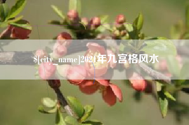 龙口2021年九宫格风水