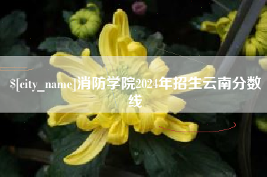 龙口消防学院2024年招生云南分数线