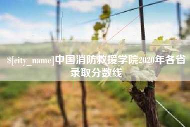 龙口中国消防救援学院2020年各省录取分数线
