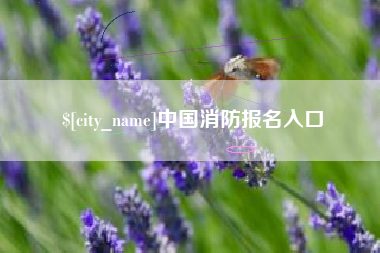 龙口中国消防报名入口