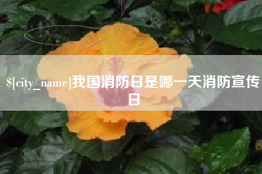 龙口我国消防日是哪一天消防宣传日