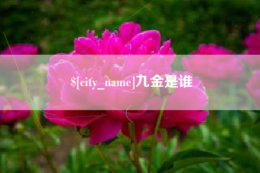 龙口九金是谁