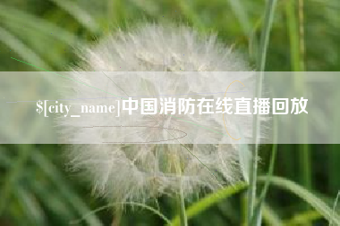 龙口中国消防在线直播回放