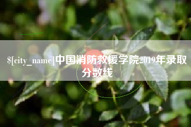 龙口中国消防救援学院2019年录取分数线