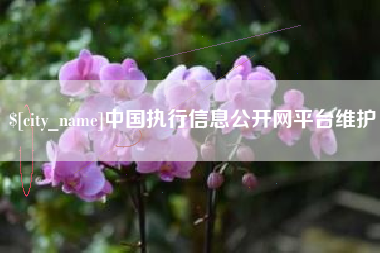龙口中国执行信息公开网平台维护