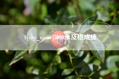 龙口5000米及格成绩