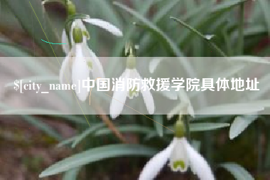 龙口中国消防救援学院具体地址