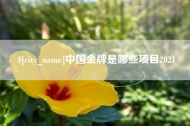 龙口中国金牌是哪些项目2021