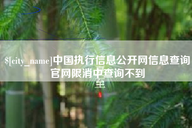 龙口中国执行信息公开网信息查询官网限消中查询不到
