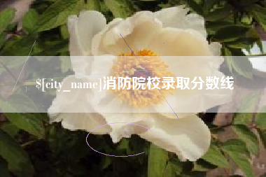 龙口消防院校录取分数线