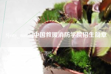 龙口中国救援消防学院招生简章