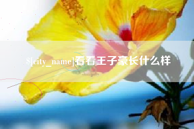 龙口看看王子豪长什么样