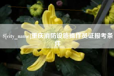 龙口重庆消防设施操作员证报考条件