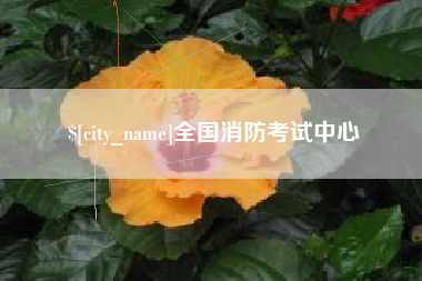 龙口全国消防考试中心