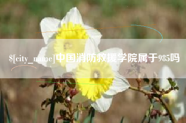 龙口中国消防救援学院属于985吗