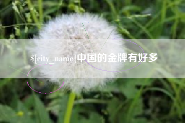 龙口中国的金牌有好多
