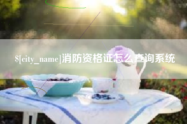 龙口消防资格证怎么查询系统