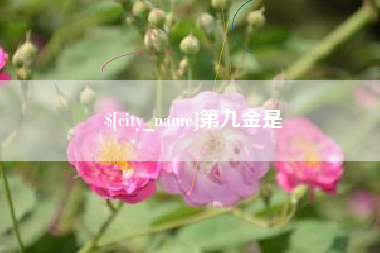 龙口第九金是