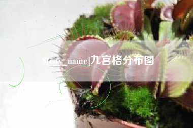 龙口九宫格分布图