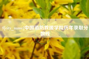 龙口中国消防救援学院历年录取分数线