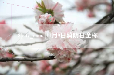 龙口11月9日消防日全称