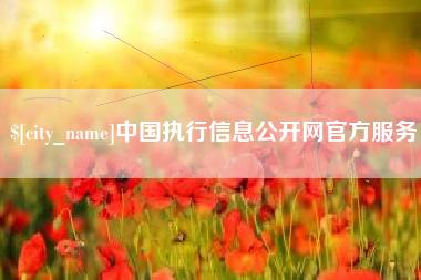 龙口中国执行信息公开网官方服务