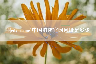 龙口中国消防官网网址是多少