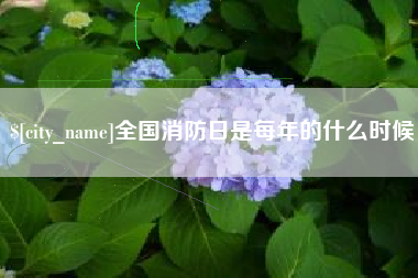 龙口全国消防日是每年的什么时候