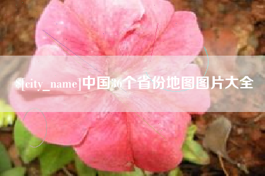 龙口中国36个省份地图图片大全