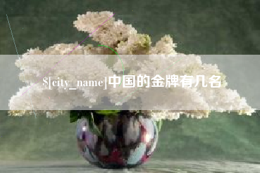 龙口中国的金牌有几名