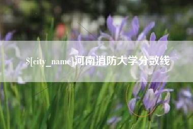 龙口河南消防大学分数线