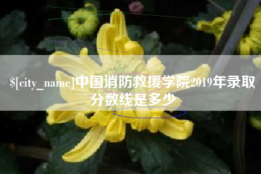 龙口中国消防救援学院2019年录取分数线是多少
