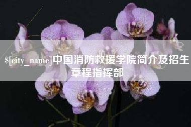 龙口中国消防救援学院简介及招生章程指挥部